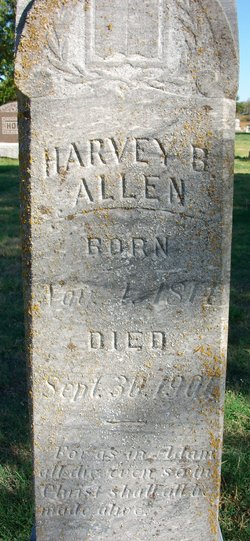 Harvey B. Allen 