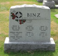Albert S Binz 