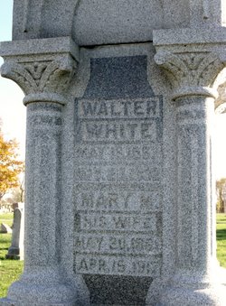 Walter White 