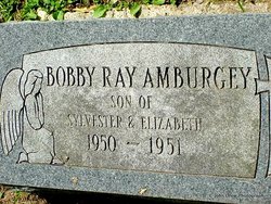 Bobby Ray Amburgey 