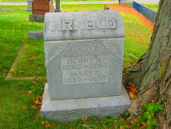 Henry H. Arnold 