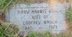 Mary Susan <I>Harris</I> Baugh 