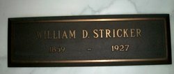 William David Stricker 