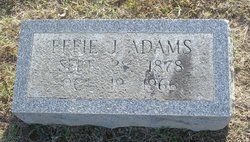 Mollie Effie <I>Johnson</I> Adams 