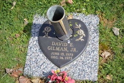 David E Gilmer Jr.