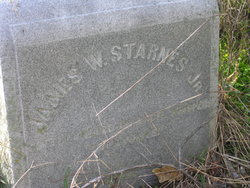 James Welborn Starnes Jr.