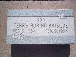 Terry Adrian Briscoe 