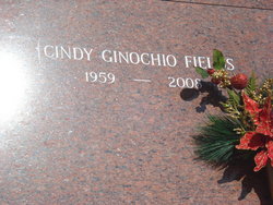 Cindy <I>Ginochio</I> Fields 