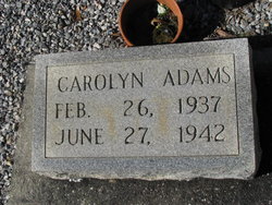 Carolyn Adams 