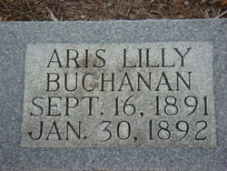 Aris Lilly Buchanan 