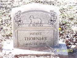 Infant Thornley 