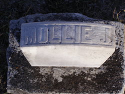Mollie J Cole 