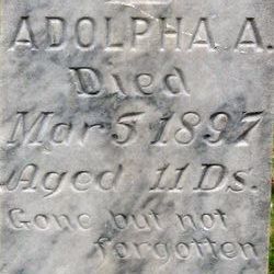 Adolpha A. Anderson 