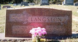 Andrew Curry Langston 