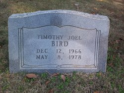 Timothy Joel Bird 