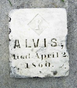 Alvis 