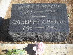 Catherine Ann <I>Stevens</I> Perdue 
