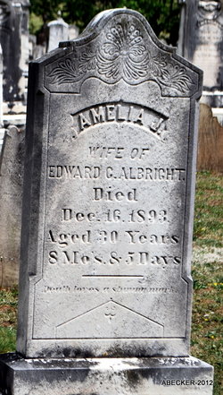 Amelia J Albright 