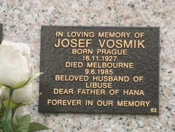 Josef Vosmik 