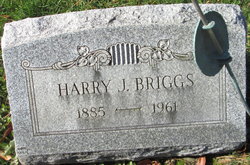 Harry J Briggs 