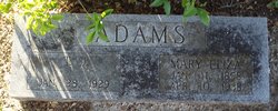 T. J. Adams 