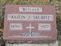 Anton J Skubitz 