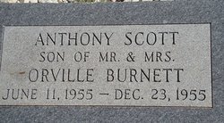 Anthony Scott Burnett 