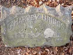 Charles Harvey Briggs 