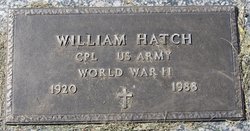 William Hatch 