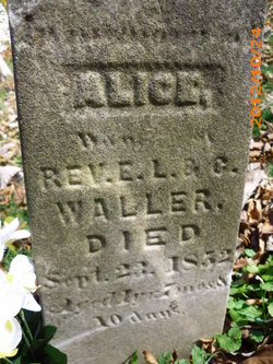 Alice Waller 