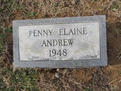 Penny Elaine Andrew 