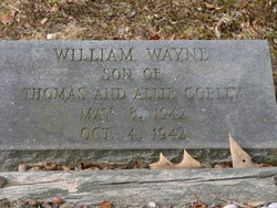 William Wayne Copley 