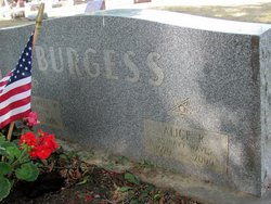 Alice Ruth <I>Johnson</I> Burgess 