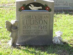 Shirley Jean Ellison 