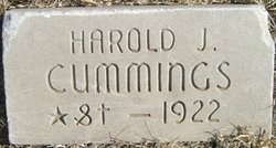 Harold J. Cummings 
