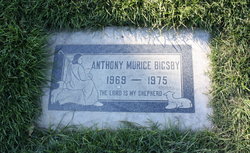 Anthony Maurice Bigsby 