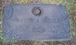 Pamela J. Larson 