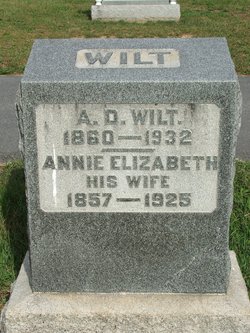 Annie Elizabeth <I>Trostle</I> Wilt 