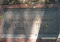 Henry Martin Amlin 