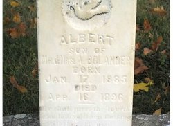 Albert Bolander 