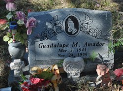 Guadalupe M. Amador 