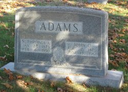 Suphronia A <I>Williams</I> Adams 