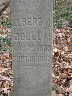 Albert C Collum 
