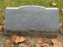 Nellie Agnes <I>Miller</I> Wylie 