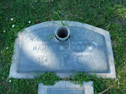Maria DiMaggio 