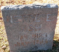 Nettie E. Ash 