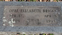 Opal Elizabeth “Lizzie” <I>Bolin</I> Briggs 