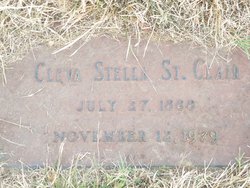 Cleva Stella <I>Brown</I> St Clair 