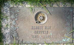 Nannie Mae <I>Laster</I> Lumpkin 