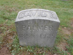 David Green Palmer 